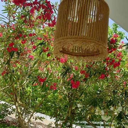 Aktipis Studios Argassi Ngoại thất bức ảnh